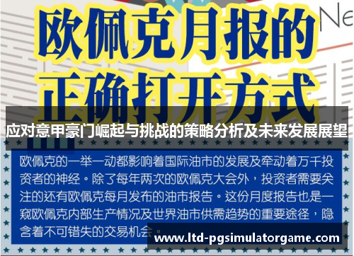 应对意甲豪门崛起与挑战的策略分析及未来发展展望