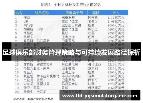 足球俱乐部财务管理策略与可持续发展路径探析