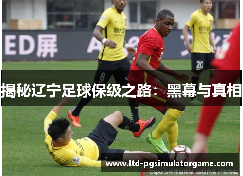揭秘辽宁足球保级之路：黑幕与真相