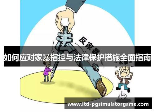 如何应对家暴指控与法律保护措施全面指南