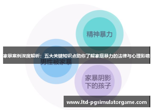 家暴案例深度解析：五大关键知识点助你了解家庭暴力的法律与心理影响