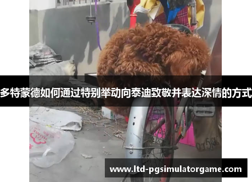 多特蒙德如何通过特别举动向泰迪致敬并表达深情的方式
