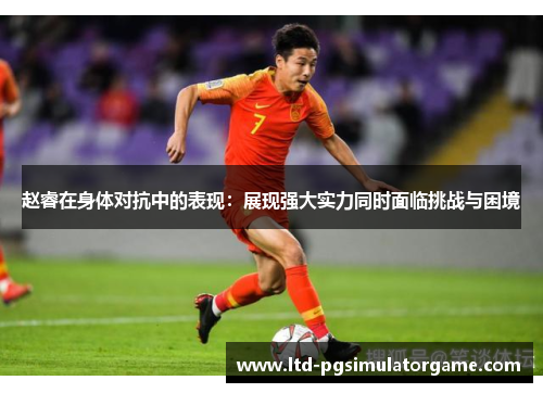 赵睿在身体对抗中的表现：展现强大实力同时面临挑战与困境