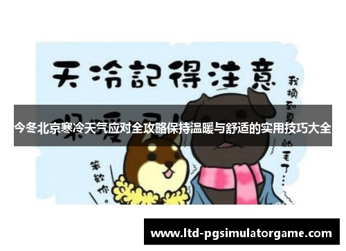 今冬北京寒冷天气应对全攻略保持温暖与舒适的实用技巧大全