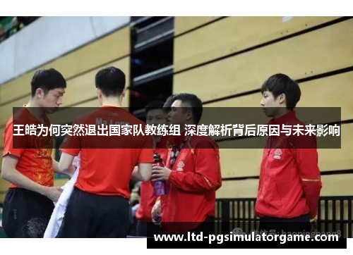 王皓为何突然退出国家队教练组 深度解析背后原因与未来影响