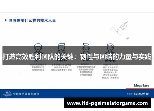 打造高效胜利团队的关键：韧性与团结的力量与实践