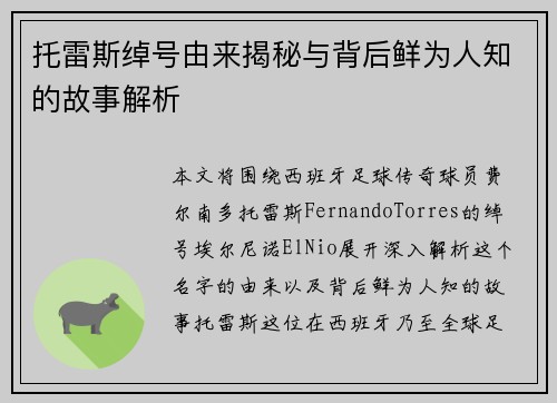 托雷斯绰号由来揭秘与背后鲜为人知的故事解析