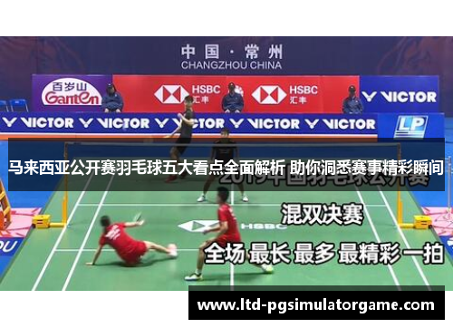 马来西亚公开赛羽毛球五大看点全面解析 助你洞悉赛事精彩瞬间