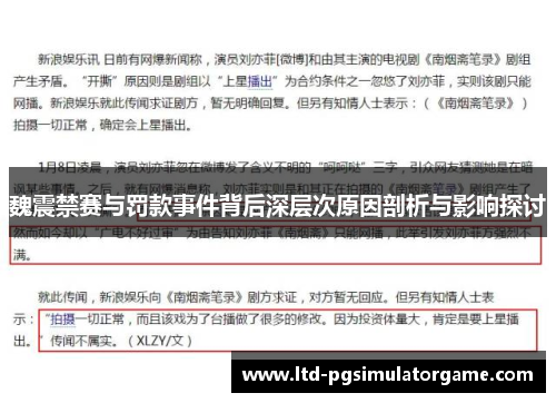 魏震禁赛与罚款事件背后深层次原因剖析与影响探讨