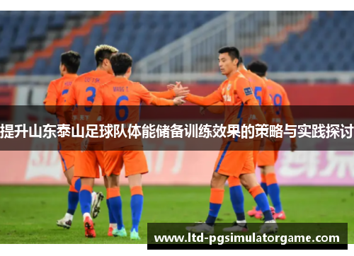提升山东泰山足球队体能储备训练效果的策略与实践探讨