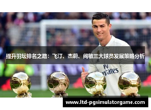 提升羽坛排名之路：飞汀、杰蔚、阀敏三大球员发展策略分析