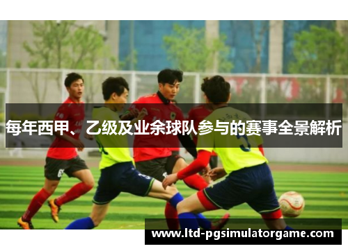 每年西甲、乙级及业余球队参与的赛事全景解析
