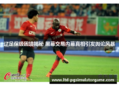 辽足保级困境揭秘 黑幕交易内幕真相引发舆论风暴