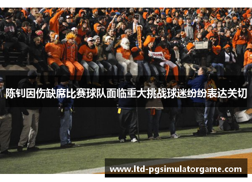 陈钊因伤缺席比赛球队面临重大挑战球迷纷纷表达关切